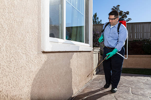 Best Pest Control for Hotels  in USA